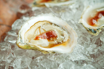 oyster half shell