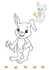 animali da colorare, coniglio