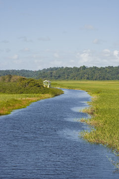 Marais de Kaw in French Guiana