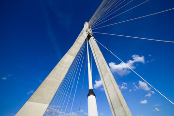 Suspension Bridge Contemporary Shape