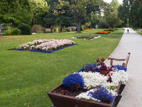 Parterres de fleurs au jardin de Queenstown