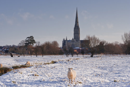 Salisbury cathedral in the snow