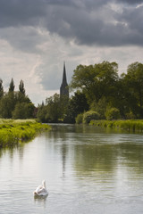 Salisbury cathedral and the water meadows