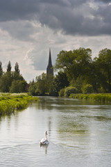 Salisbury cathedral and the water meadows