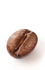 Single coffee bean