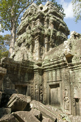 Naklejka premium Ruins of Ta Prohm Temple, Cambodia
