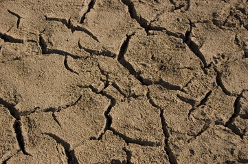 Detalle suelo erosionado