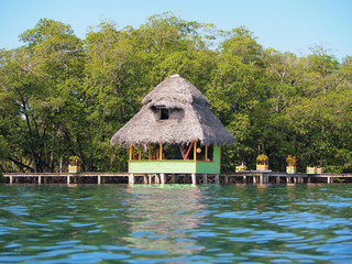 Tropical thatched hut over water with lush mangrove trees in background, Caribbean sea, Central America, Bocas del Toro, Panama