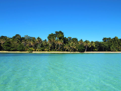 Pristine tropical coastline with beautiful vegetation, Caribbean coast