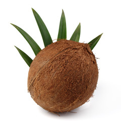 One full coconut