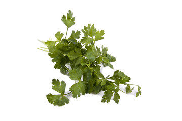 hierbas y especies de la cocina