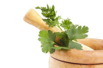 hierbas y especies de la cocina