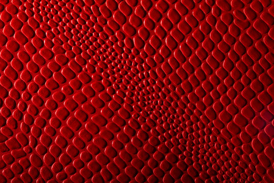 Leather