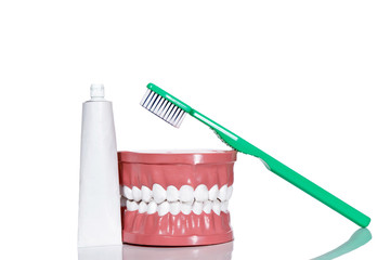 Artificial teeth and a toothbrush