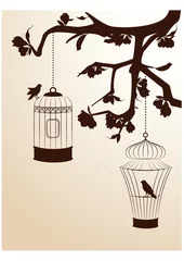 Papier Peint photo Oiseaux en cages fond avec des cages à oiseaux ornementales et des oiseaux