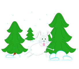 rabbit in a pine forest