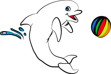 Playing dolphin - Delfino che gioca