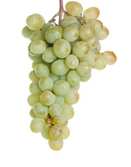 grapes