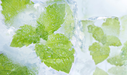 Ice cubes and fresh mint