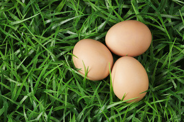 eggs