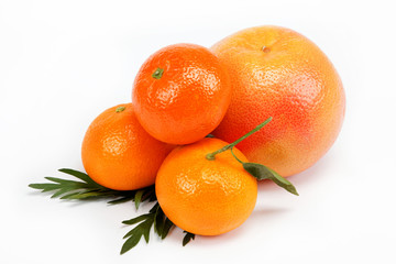Tropical fruits on a white background.