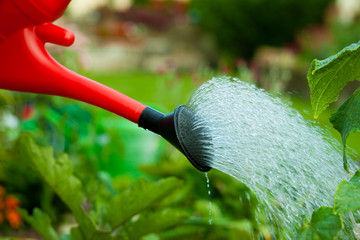 Gartenarbeit im Sommer - Jemand gießt die Blumen © Kzenon