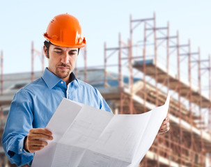 Site manager