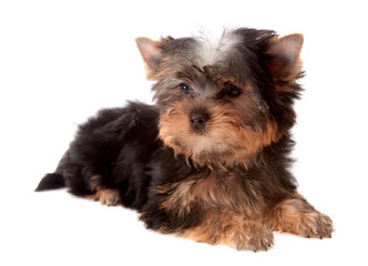 Yorkshire, isolated.