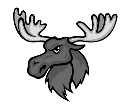 Wild moose