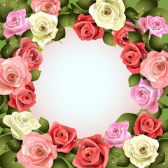 Background with white and pink roses