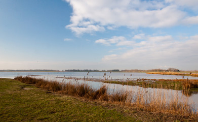 Colorful view at the Dutch National Park De Biesbosch