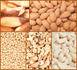 Nuts backgrounds collage