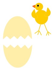 Newborn easter chick