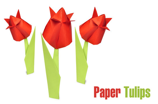 origami red tulips