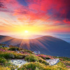 Foto op Plexiglas Zomer Zomerlandschap in bergen met de zon