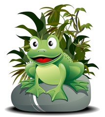 Rana Cartoon su Pietra-Cartoon Frog on Nature-Vector