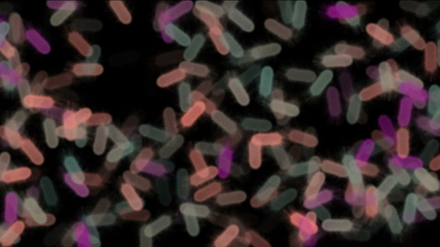 colored flagellated bacteria
