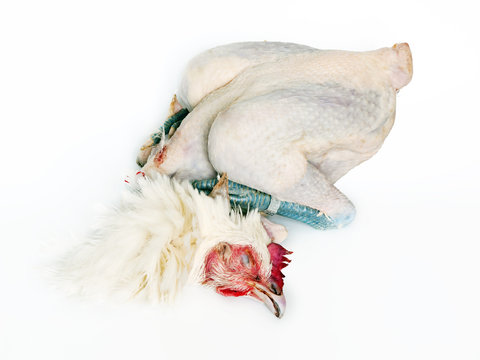 K&uuml;chenfertiges Bressehuhn