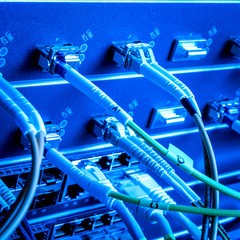 network cables