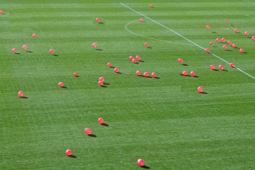 pink balloons flying over the grass of the stadium