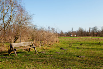 Empty bench in nature