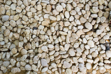 pebbles in the garden