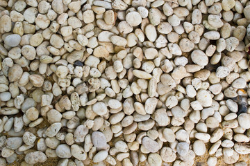 pebbles in the garden