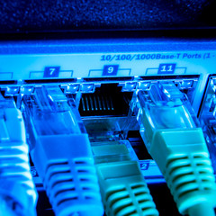 network cables