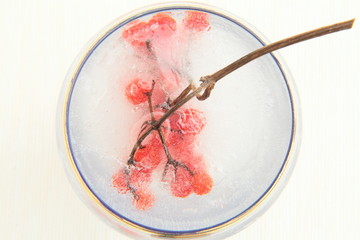 КАЛИНА И ЛЕД