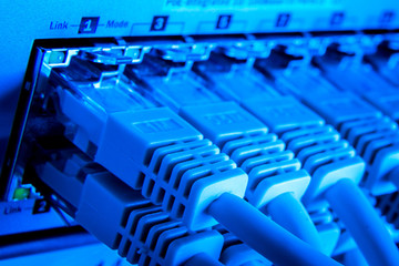 Fototapeta premium network cables