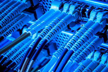 Fototapeta premium network cables