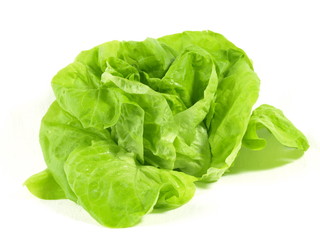 Green lettuce on isolated background