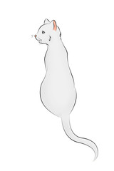 01 Katze von hinten