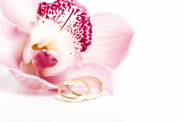 Pink orchid and wedding ring isolated on white